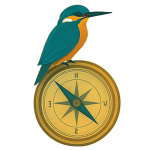 Comapss_Kingfisher_500x500_quantumleapwithjoy