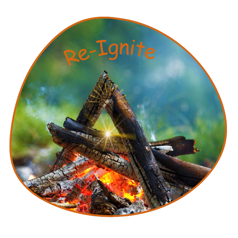 Fire_Quantum Leap Dream Weaver Journey_Offer Image_Quantum Leap with Joy