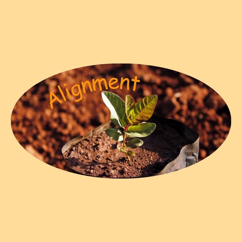plant_offer busness atmosphere_quantumleapwithjoyjpg