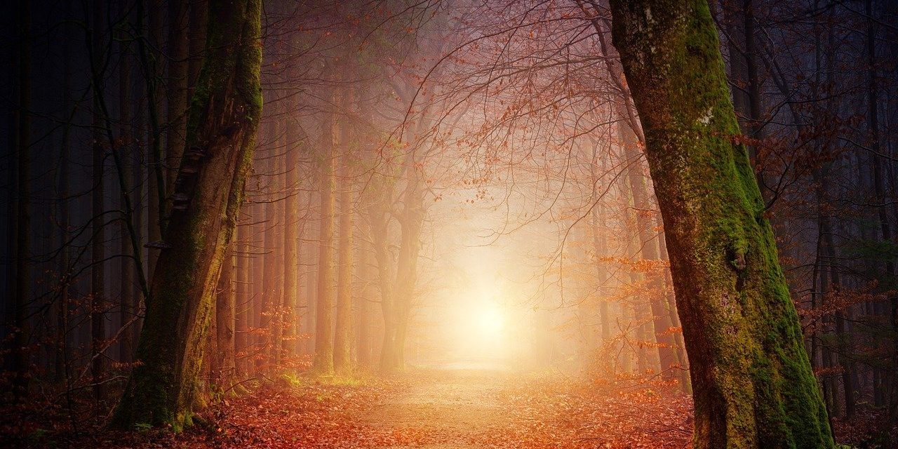 the path magically unfolds